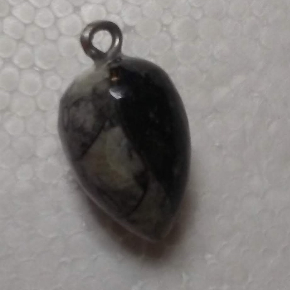 Otheroceras Fossil Pendant